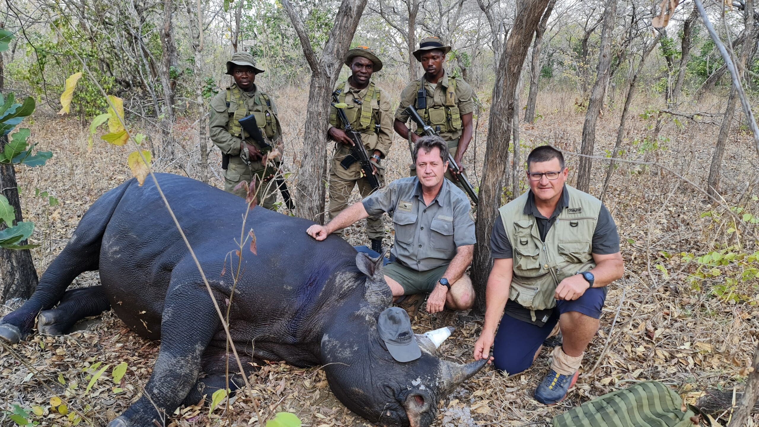 African Parks black rhino in Malawi