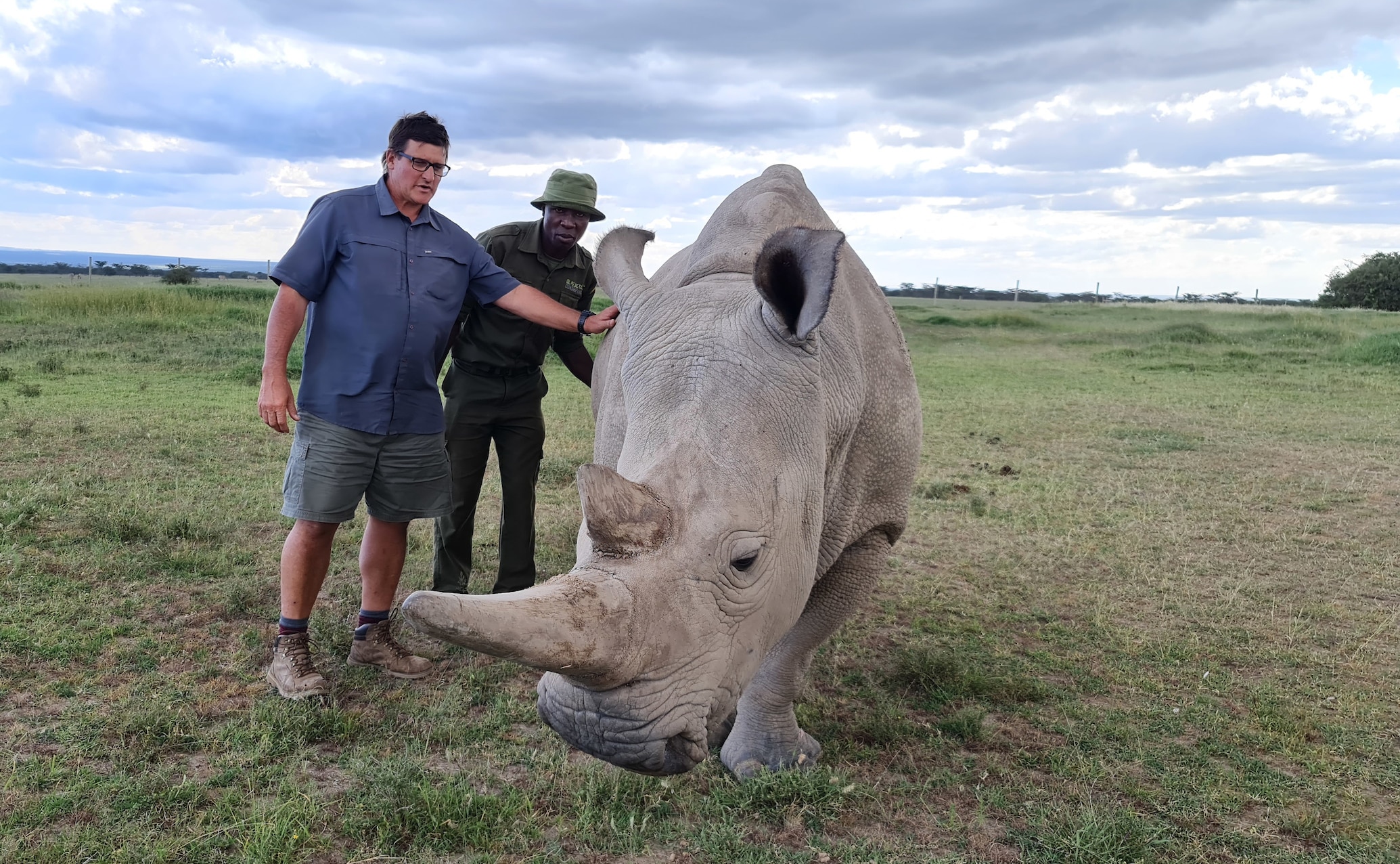 Cornell Invites RRF's Dr. Markus Hofmeyr as a Guest Speaker - Rhino ...